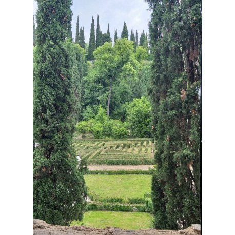 I CAPOLAVORI DEL MUSEO ARCHEOLOGICO – JUNIOR EDITION!